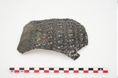 Foto von Bronzepanzerplatte (NHMW-PRAE-025097)